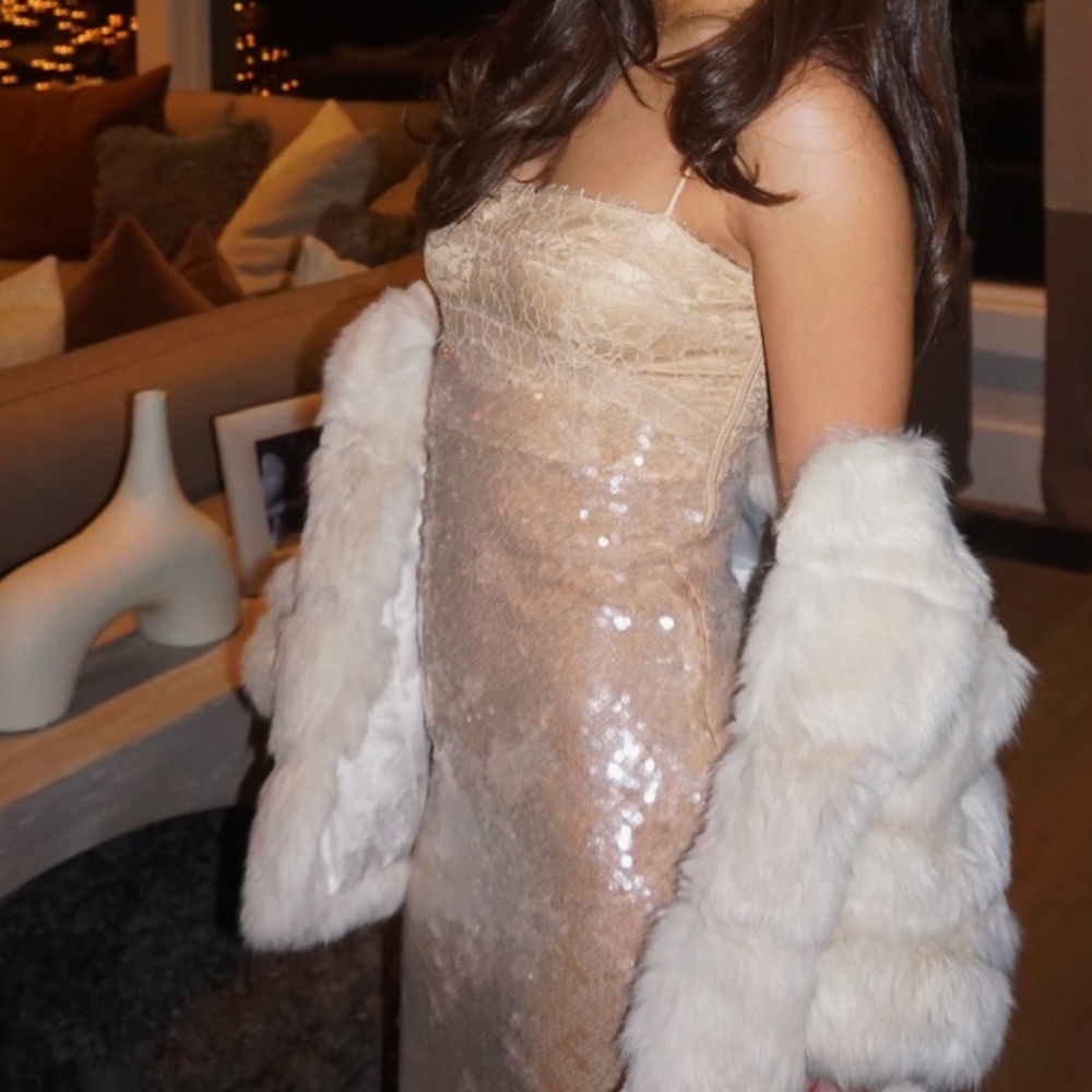Simkhai sequin dress